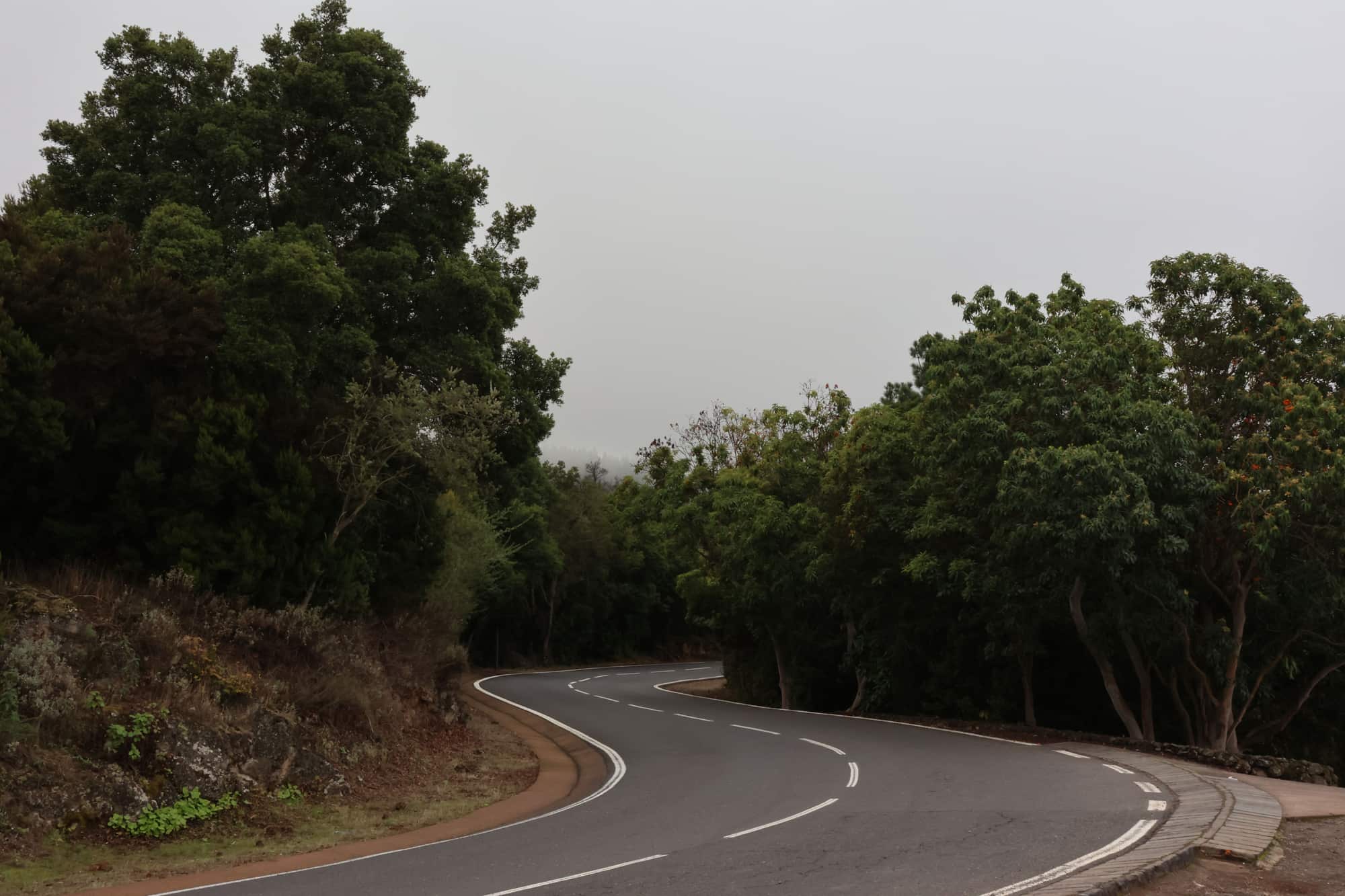 A road curving up a wooded volcanic slope