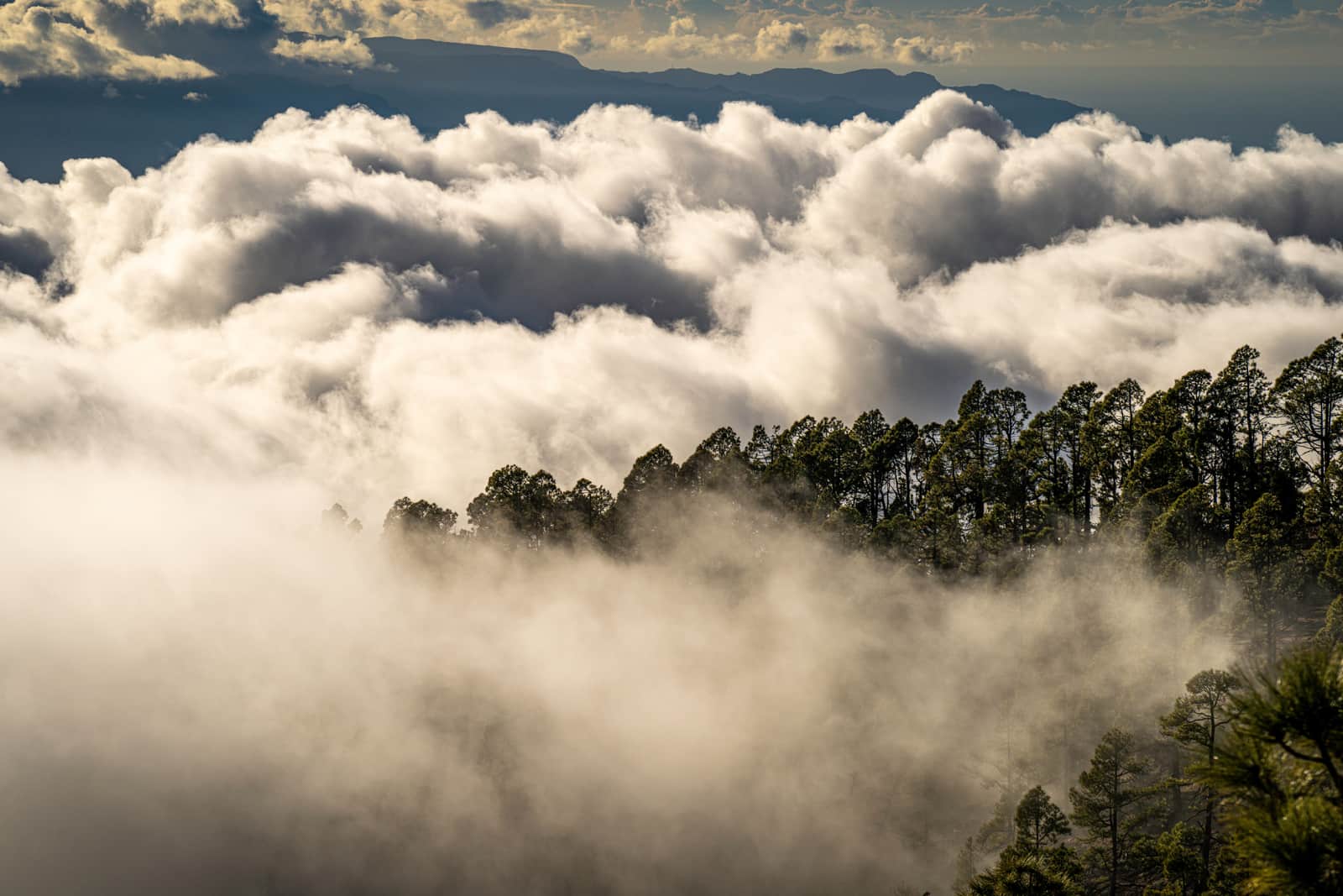 A sea of cloud below the upper slopes of the island